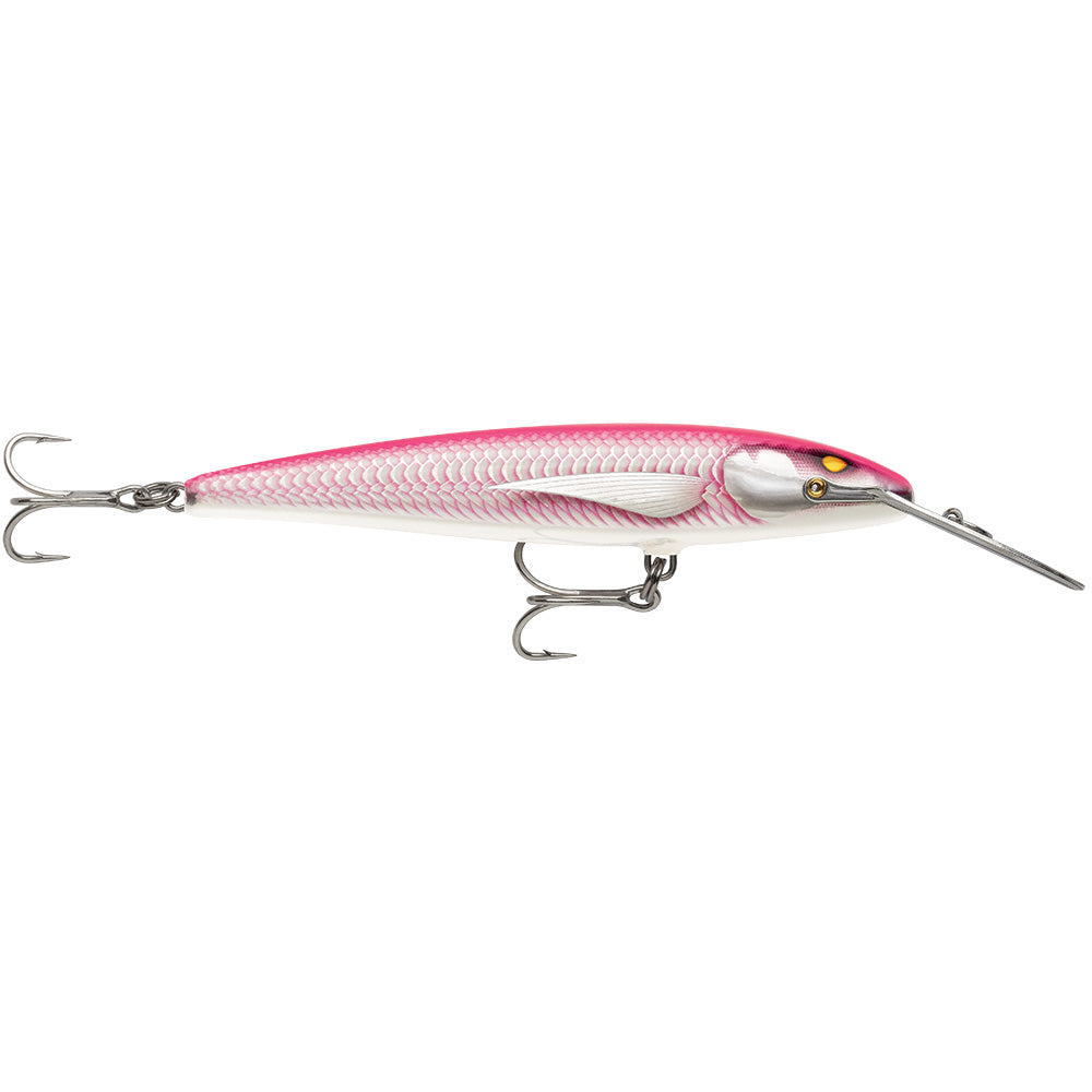 Hunting & Fishing - Hard & Soft Baits