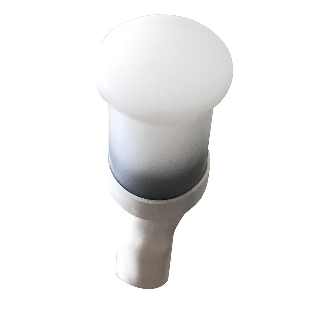 Lighting - Interior / Courtesy Light
